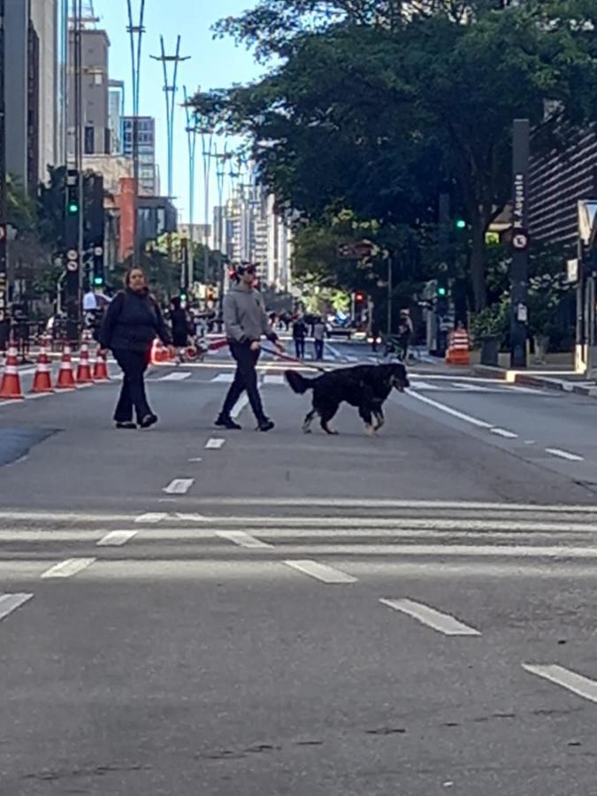 Hostel Trilhas E Rotas - A 150M Da Avenida Paulista サンパウロ エクステリア 写真